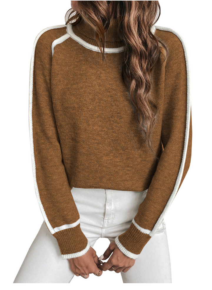 Soft Turtleneck Winter Sweater
